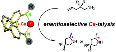 Graphical abstract: Calcium catalyzed enantioselective intramolecular alkene hydroamination with chiral C2-symmetric bis-amide ligands