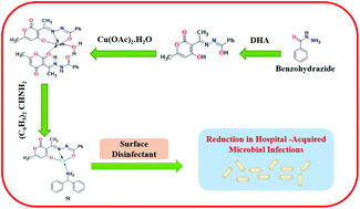 Graphical abstract: Synthesis, characterization and utility of a series of novel copper(ii) complexes as excellent surface disinfectants against nosocomial infections