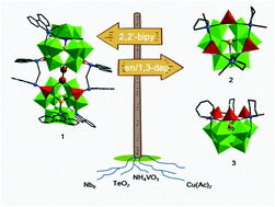 Graphical abstract: Synthesis, structures and stability of three V-substituted polyoxoniobate clusters based on [TeNb9O33]17− units