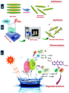 Graphical abstract: Liquid-phase exfoliated MoS2 nanosheets doped with p-type transition metals: a comparative analysis of photocatalytic and antimicrobial potential combined with density functional theory