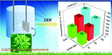 Graphical abstract: Coupling SnS2 and rGO aerogel to CuS for enhanced light-assisted OER electrocatalysis