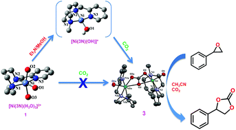 Graphical abstract: Rapid atmospheric carbon dioxide fixation by nickel(ii) complexes: meridionally coordinated diazepane-based 3N ligands facilitate fixation