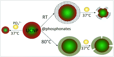 Graphical abstract: Formation of phosphonate coatings for improved chemical stability of upconverting nanoparticles under physiological conditions