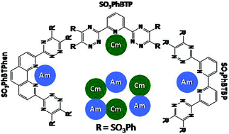 Graphical abstract: Bis-(1,2,4-triazin-3-yl) ligand structure driven selectivity reversal between Am3+ and Cm3+: solvent extraction and DFT studies