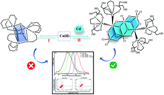 Graphical abstract: Novel {Cu4} and {Cu4Cd6} clusters derived from flexible aminoalcohols: synthesis, characterization, crystal structures, and evaluation of anticancer properties