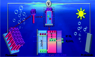 Graphical abstract: A ZnO@CuO core–shell heterojunction photoanode modified with ZnFe-LDH for efficient and stable photoelectrochemical performance