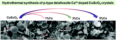 Graphical abstract: P-type transparent conducting characteristics of delafossite Ca doped CuScO2 prepared by hydrothermal synthesis