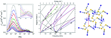 Graphical abstract: Positive zero-field splitting and unexpected slow magnetic relaxation in the magneto-chemical calibrant HgCo(NCS)4