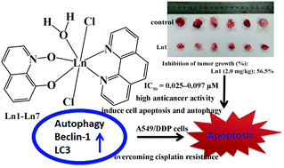 Graphical abstract: High anticancer activity and apoptosis- and autophagy-inducing properties of novel lanthanide(iii) complexes bearing 8-hydroxyquinoline-N-oxide and 1,10-phenanthroline