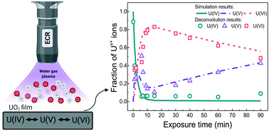 Graphical abstract: Time-dependent surface modification of uranium oxides exposed to water plasma