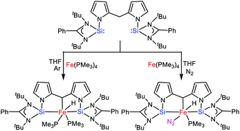 Graphical abstract: Progress in the preparation and characterization of silylene iron, cobalt and nickel complexes