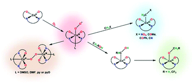 Graphical abstract: Preparation of organocobalt(iii) complexes via O2 activation