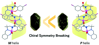 Graphical abstract: 1D Mn(iii) coordination polymers exhibiting chiral symmetry breaking and weak ferromagnetism