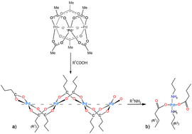 Graphical abstract: Synthesis and characterization of bis(amine)palladium(ii) carboxylate complexes as precursors of palladium nanoparticles