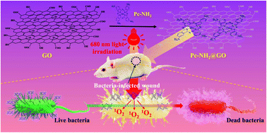 Graphical abstract: Photo-initiated enhanced antibacterial therapy using a non-covalent functionalized graphene oxide nanoplatform