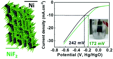 Graphical abstract: Recasting Ni-foam into NiF2 nanorod arrays via a hydrothermal process for hydrogen evolution reaction application