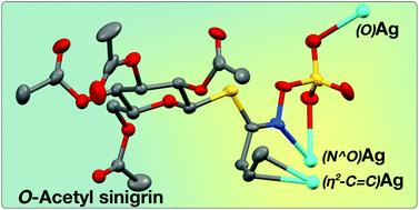 Graphical abstract: Complex formation of silver(i) ions with a glucosinolate derivative: structural and mechanistic insights into myrosinase-mimicking C–S bond cleavage