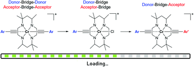 Graphical abstract: A unique series of chromium(iii) mono-alkynyl complexes supported by tetraazamacrocycles