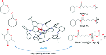 Graphical abstract: Coordination chemistry of [2 + 2] Schiff-base macrocycles derived from the dianilines [(2-NH2C6H4)2X] (X = CH2CH2, O): structural studies and ROP capability towards cyclic esters