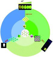 Graphical abstract: Tuning the excited-state intramolecular proton transfer (ESIPT)-based luminescence of metal–organic frameworks by metal nodes toward versatile photoluminescent applications