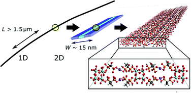 Graphical abstract: Giant zirconium-bisphosphonate nano-ribbons and their liquid crystalline phase behaviour in water