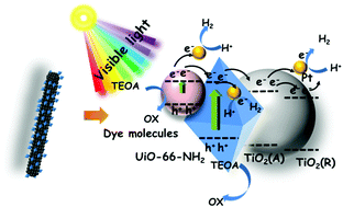 Graphical abstract: Uniform decoration of UiO-66-NH2 nanooctahedra on TiO2 electrospun nanofibers for enhancing photocatalytic H2 production based on multi-step interfacial charge transfer