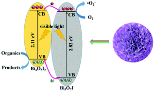 Graphical abstract: Phase transformation and heterojunction construction of bismuth oxyiodides by grinding-assisted calcination in the presence of thiourea and their photoactivity