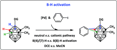 Graphical abstract: Theoretical calculation of regioselectivity and solvation effects on B–H activation of O-carborane guided by directing group