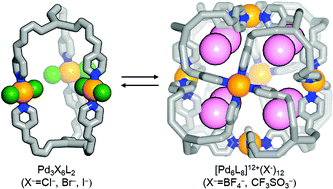 Graphical abstract: Interconversion between a Pd3L2 trigonal prism and a Pd6L8 cube via anion exchange: binding affinity of monoatomic vs. polyatomic anions