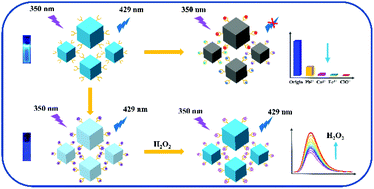 Graphical abstract: Mixed functionalization strategy on indium-organic framework for multiple ion detection and H2O2 turn-on sensing