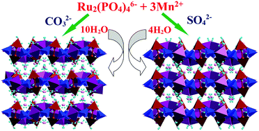 Graphical abstract: Interlayer hydrogen bonding directed magnetic properties for a different number of water-intercalated structural heterometallic phosphates based on paddlewheel units Ru2(PO4)46−