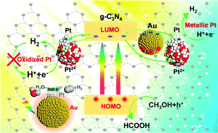 Graphical abstract: Au nanoparticle-controlled formation of metallic and oxidized Pt nanoparticles on graphitic carbon nitride nanosheets for H2 evolution