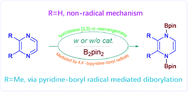 Graphical abstract: Mechanistic insights into the dearomative diborylation of pyrazines: a radical or non-radical process?