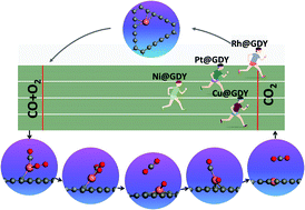 Graphical abstract: Single-metal-atom catalysts supported on graphdiyne catalyze CO oxidation