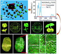 Graphical abstract: Enhancing the static green up-conversion luminescence of NaY(MoO4)2:Yb/Er microcrystals via an annealing strategy for anti-counterfeiting applications