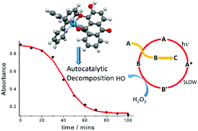 Graphical abstract: Autocatalytic photodegradation of [Ru(ii)(2,2′-bipyridine)2DAD]+ (DADH = 1,2-dihydroxyanthracene-9,10-dione) by hydrogen peroxide under acidic aqueous conditions