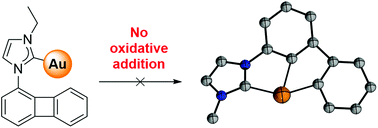 Graphical abstract: Non-palindromic (C^C^D) gold(iii) pincer complexes are not accessible by intramolecular oxidative addition of biphenylenes – an experimental and quantum chemical study