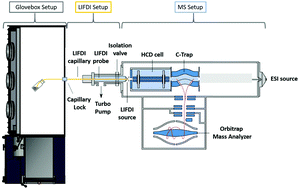 Graphical abstract: Enabling LIFDI-MS measurements of highly air sensitive organometallic compounds: a combined MS/glovebox technique