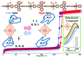 Graphical abstract: Hydrogen bond-induced abrupt spin crossover behaviour in 1-D cobalt(ii) complexes – the key role of solvate water molecules