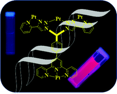 Graphical abstract: Luminescent terpyridine appended geminal bisazide and bistriazoles: multinuclear Pt(ii) complexes and AIPE-based DNA detection with the naked eye
