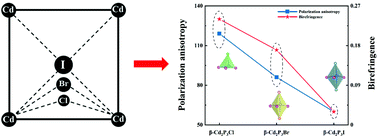 Graphical abstract: Distinctive modulation of optical anisotropy by halogens in α/β-Cd–P–X (X = Cl, Br, and I)