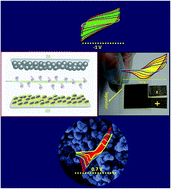 Graphical abstract: Metal–organic-framework derived hollow manganese nickel selenide spheres confined with nanosheets on nickel foam for hybrid supercapacitors