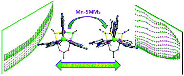 Graphical abstract: Modulating the relaxation dynamics of the Na2Mn3 system via an auxiliary anion change