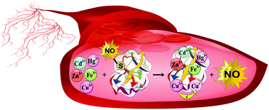 Graphical abstract: Enhancement of NO release from S-nitrosoalbumin by pollution derived metal ions