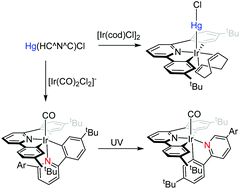 Graphical abstract: Synthesis, structure and reactivity of iridium complexes containing a bis-cyclometalated tridentate C^N^C ligand