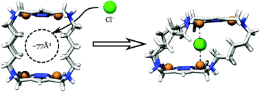 Graphical abstract: Selective encapsulation of a chloride anion in a 1H-pyrazole Cu2+ metallocage