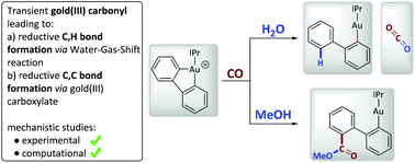 Graphical abstract: Experimental and theoretical studies on gold(iii) carbonyl complexes: reductive C,H- and C,C bond formation