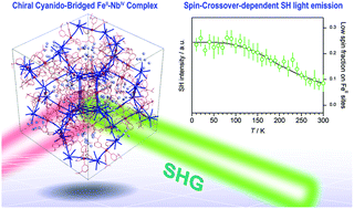 Graphical abstract: Second harmonic generation on chiral cyanido-bridged FeII–NbIV spin-crossover complexes
