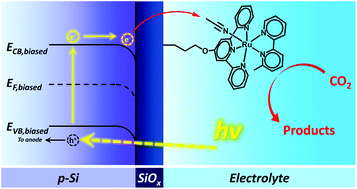 Graphical abstract: Immobilising molecular Ru complexes on a protective ultrathin oxide layer of p-Si electrodes towards photoelectrochemical CO2 reduction