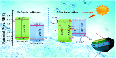 Graphical abstract: Amorphous Co3O4 quantum dots hybridizing with 3D hexagonal CdS single crystals to construct a 0D/3D p–n heterojunction for a highly efficient photocatalytic H2 evolution